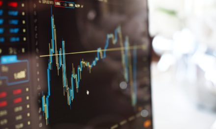 Complete Guide to a Great Stock Portfolio